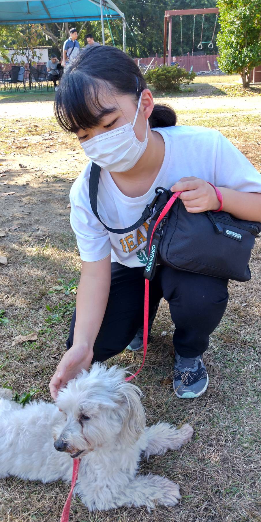 つくばわんわんランド 対 ソロ活女子 : めぐちんの日記 