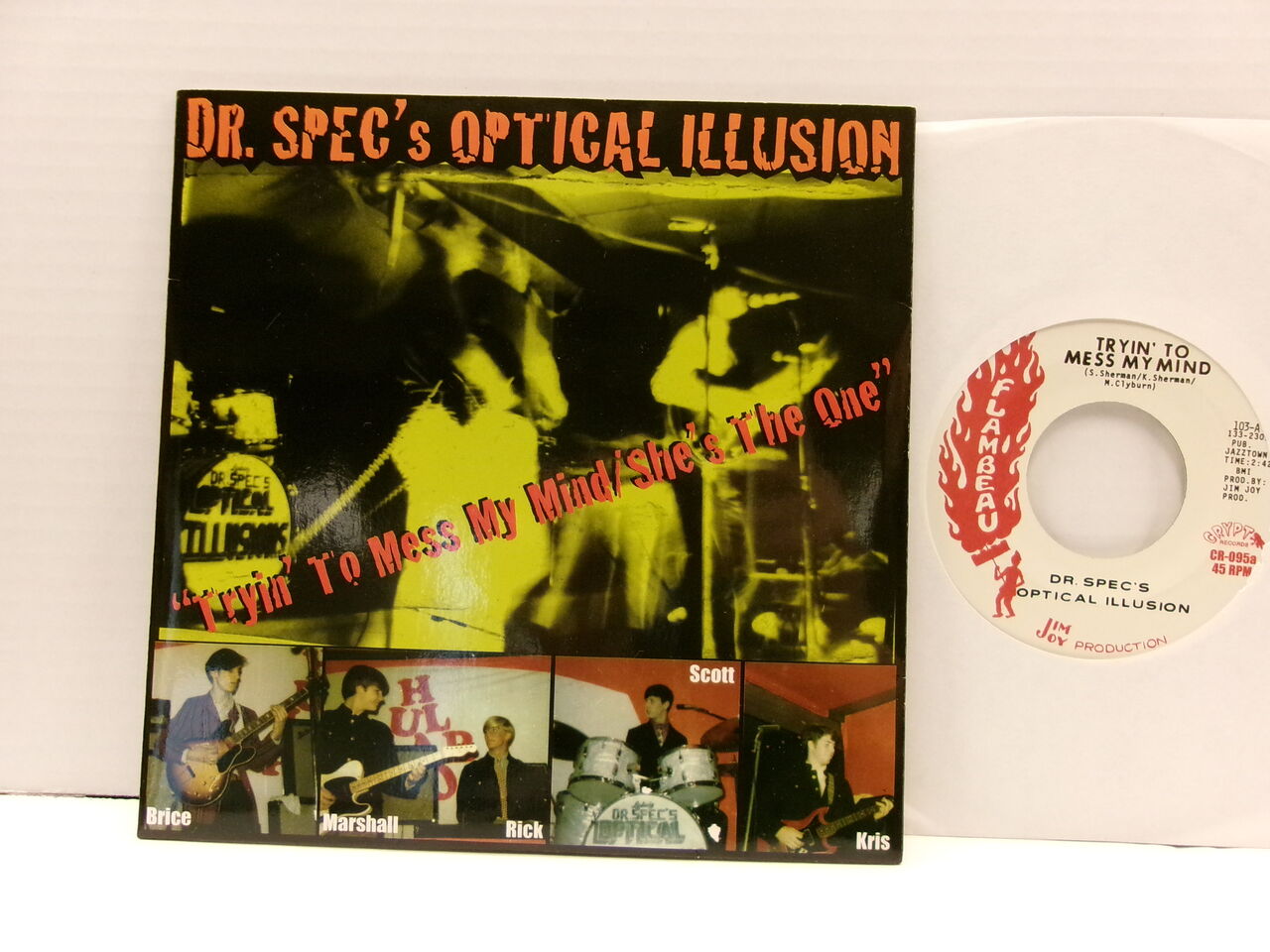 the RIP OFFS /got a record ガレージパンクCD【レア】 the RIP OFFS /got a record ガレージパンクCD【レア】 the RIP OFFS