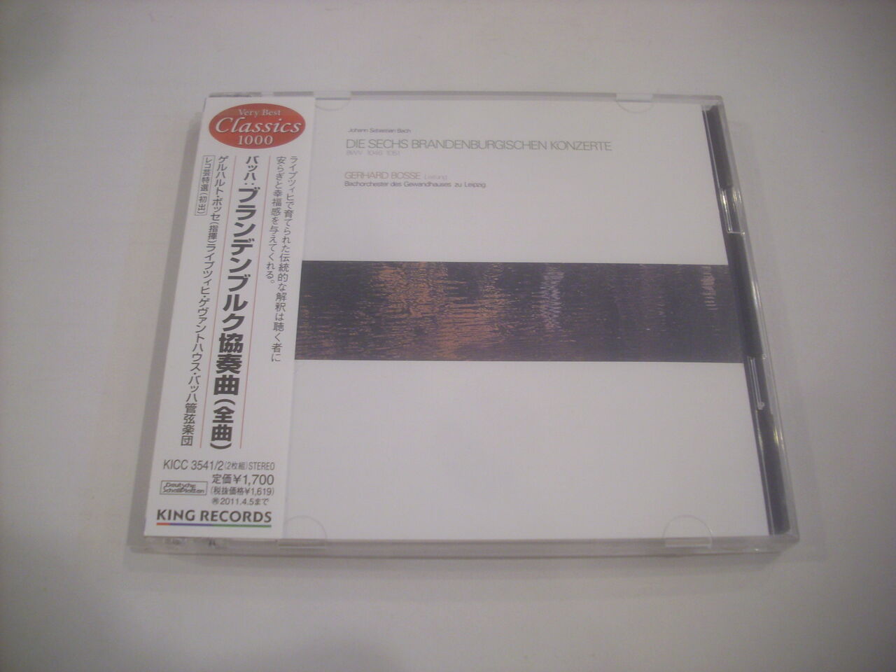 DSCI3399