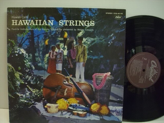 立川 入荷分 Mezurashiya Record 珍屋