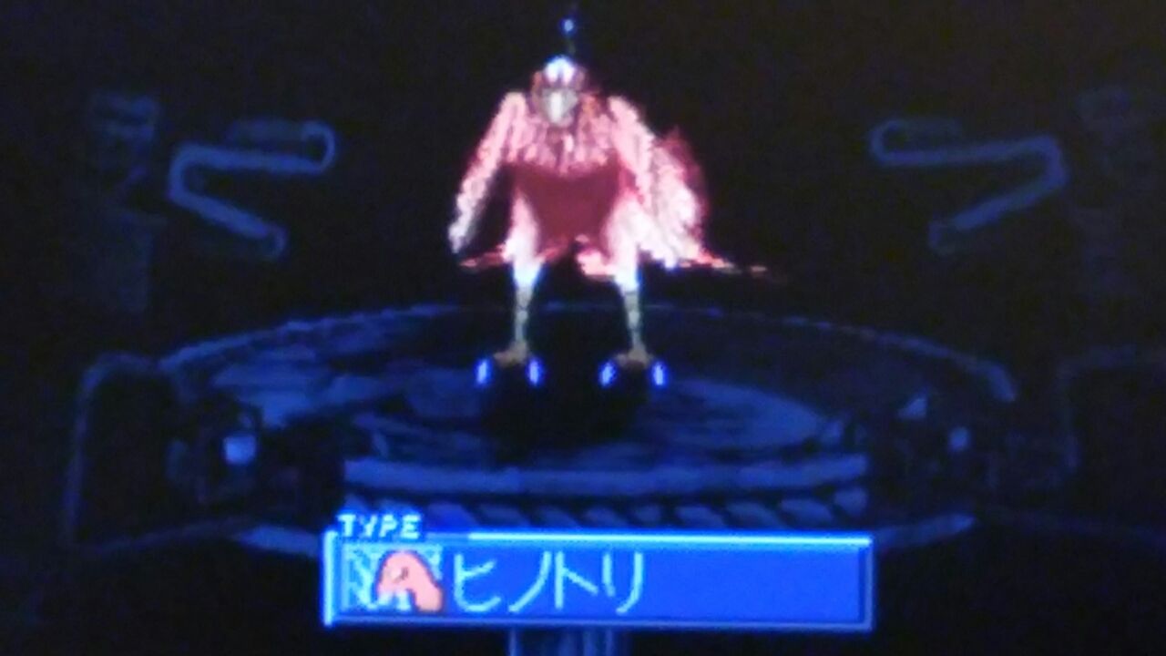ヒネクレソウ2 モンスターファームのブログ