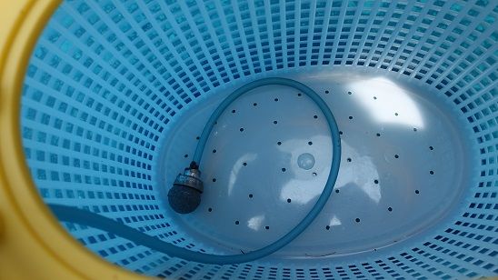 15今年初の手長エビ釣り 釣果は T T Outdoor Tree