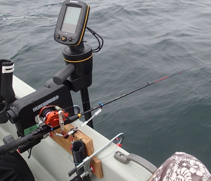 芦ノ湖ワカサギ釣り Outdoor Tree
