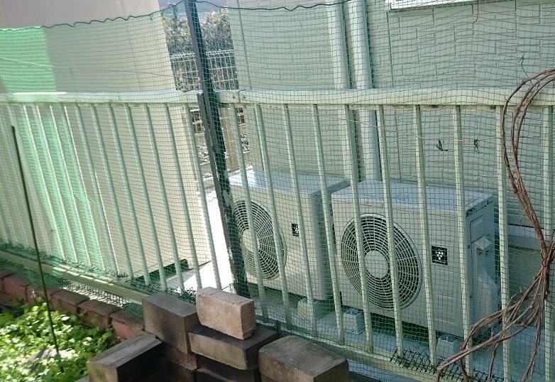 庭の猫対策その２ Outdoor Tree