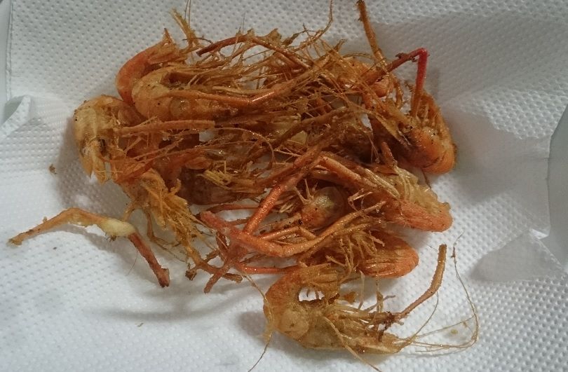 16今年3回目の手長エビ釣り Outdoor Tree