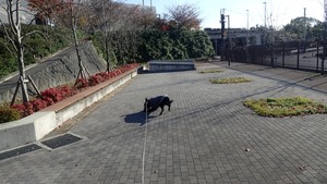 PC021453_R