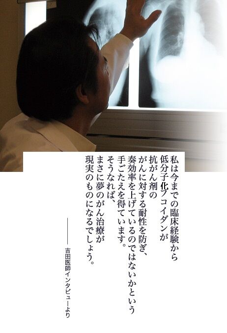 dr_yoshida22