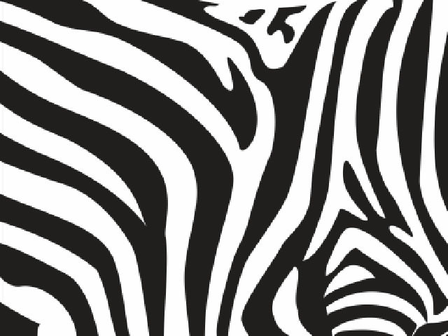 オリムピック Zebra1000 Zebra Honolulu 330 謎のまるは調査 オリムピック Zebra1000 Zebra Honolulu 330 謎のまるは調査
