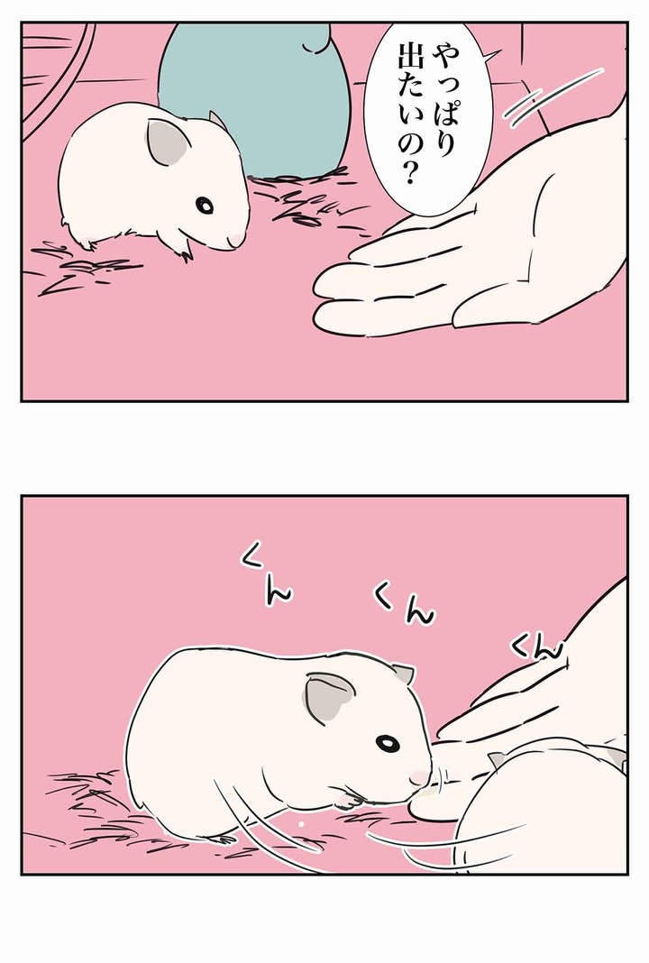 きんくまハムスターのきなことえむふじん