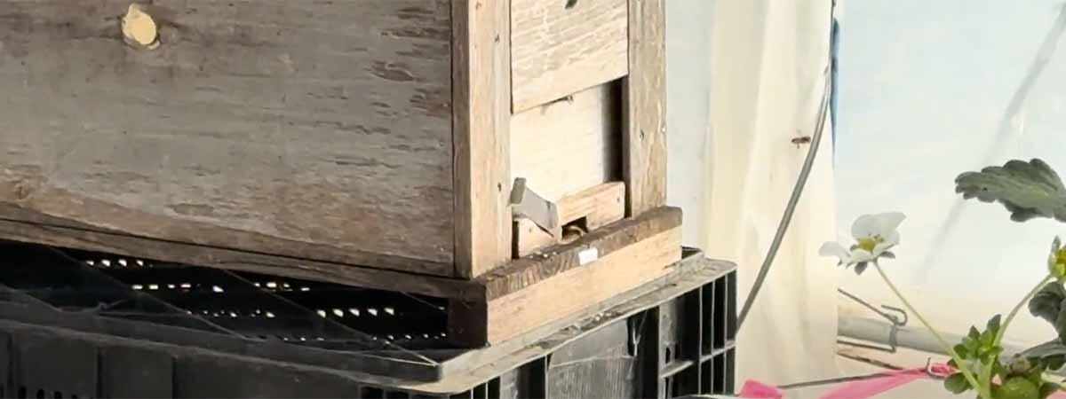 スクリーンショット 2025-02-06 3.12.15