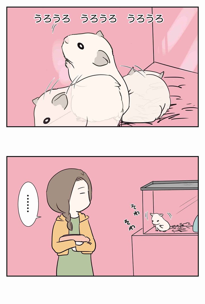 きんくまハムスターのきなことえむふじん