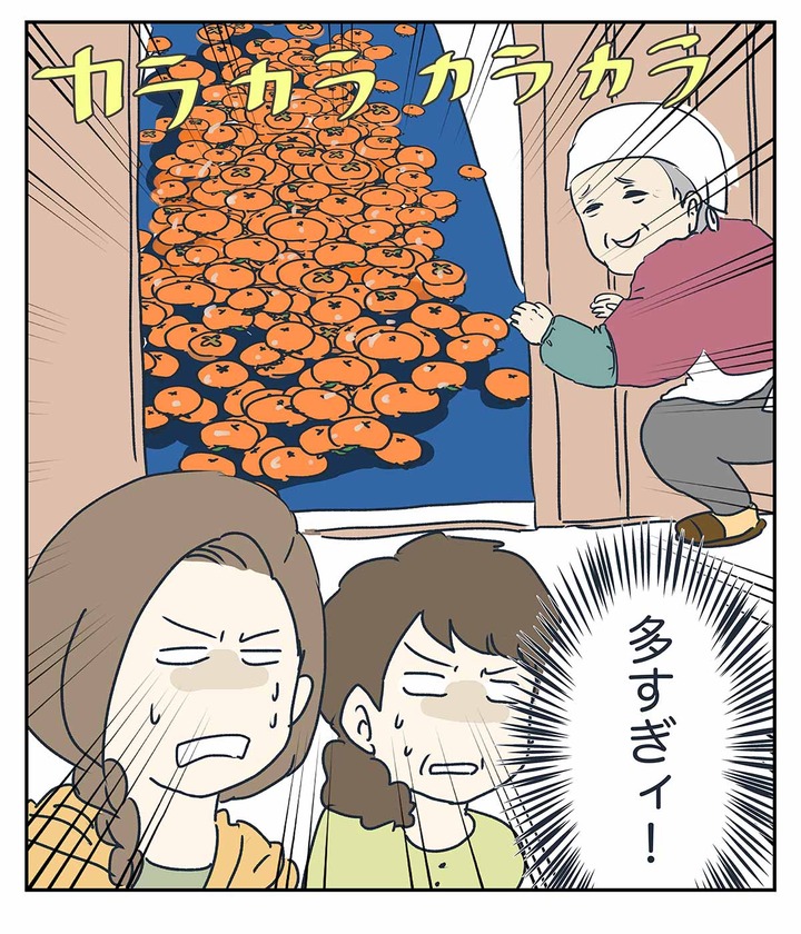 祖母の善意と私の食い意地とが激突した結果をご覧下さい