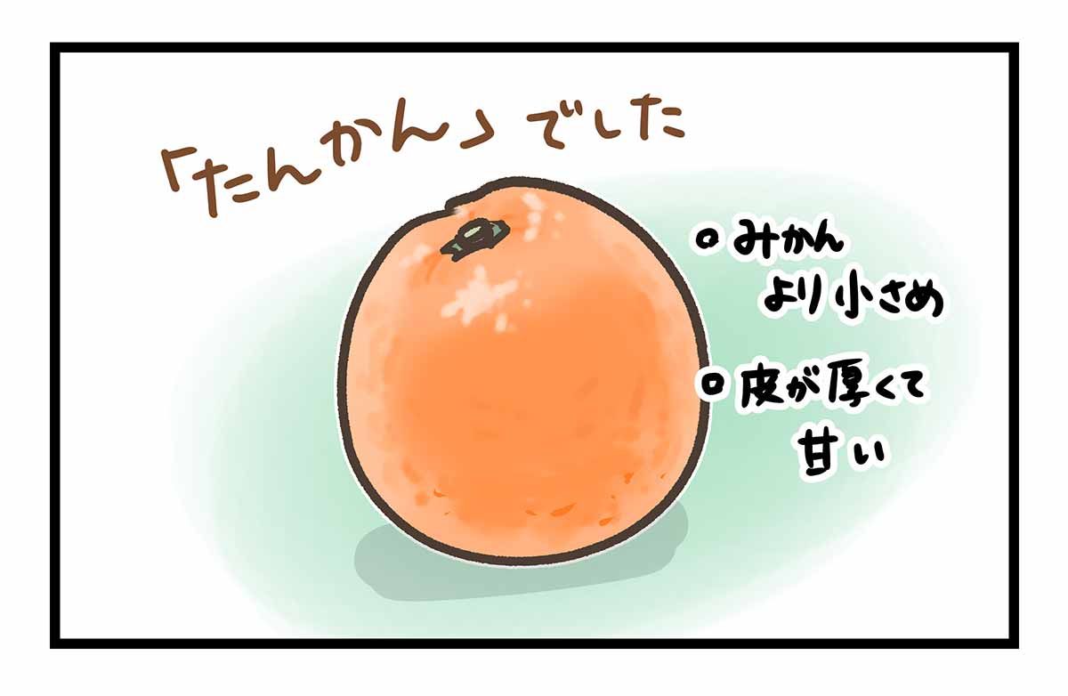 コ529b