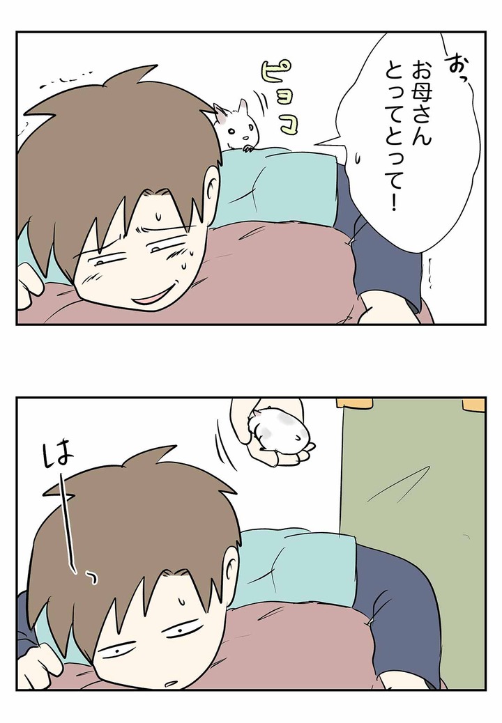 ハムスターと戯れる姿を見守る風景をご覧ください