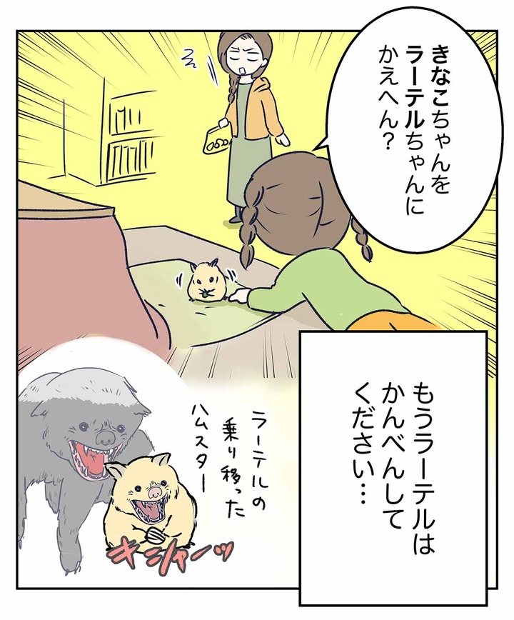 ラーテルは事実上の生態ピラミッドの頂点にいるだけでは飽き足らない