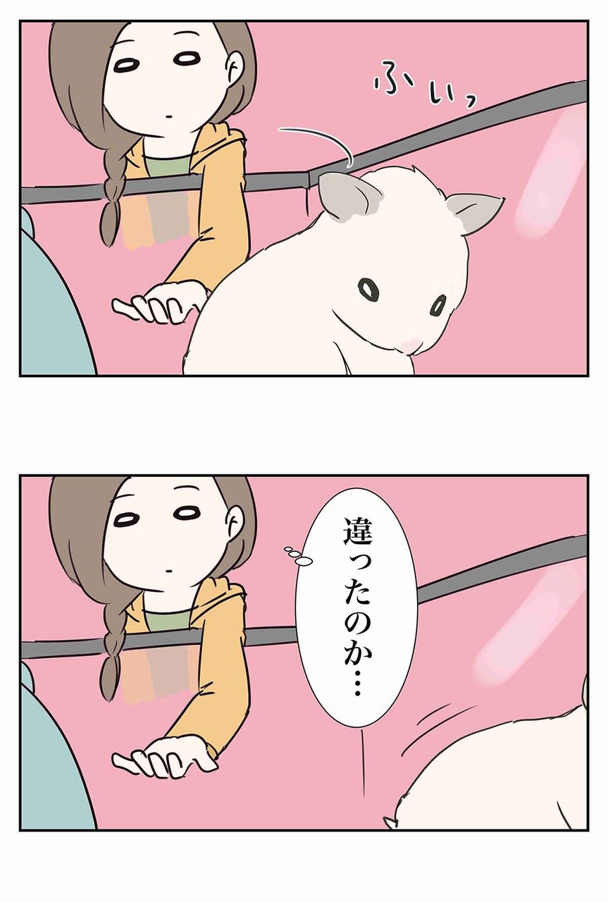 うちのハムスター夕がたに起きるしこの先生きのこる コミックエッセイ えむふじんがあらわれた Powered By ライブドアブログ うちのハムスター夕がたに起きるしこの先生きのこる コミックエッセイ えむふじんがあらわれた Powered By ライブドアブログ