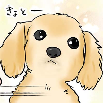 えむふじんの日常 クッキー