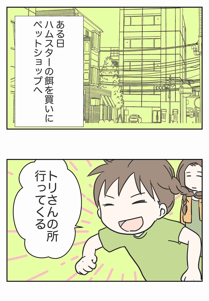 彼女がまだ駆け出しの鳥だった頃