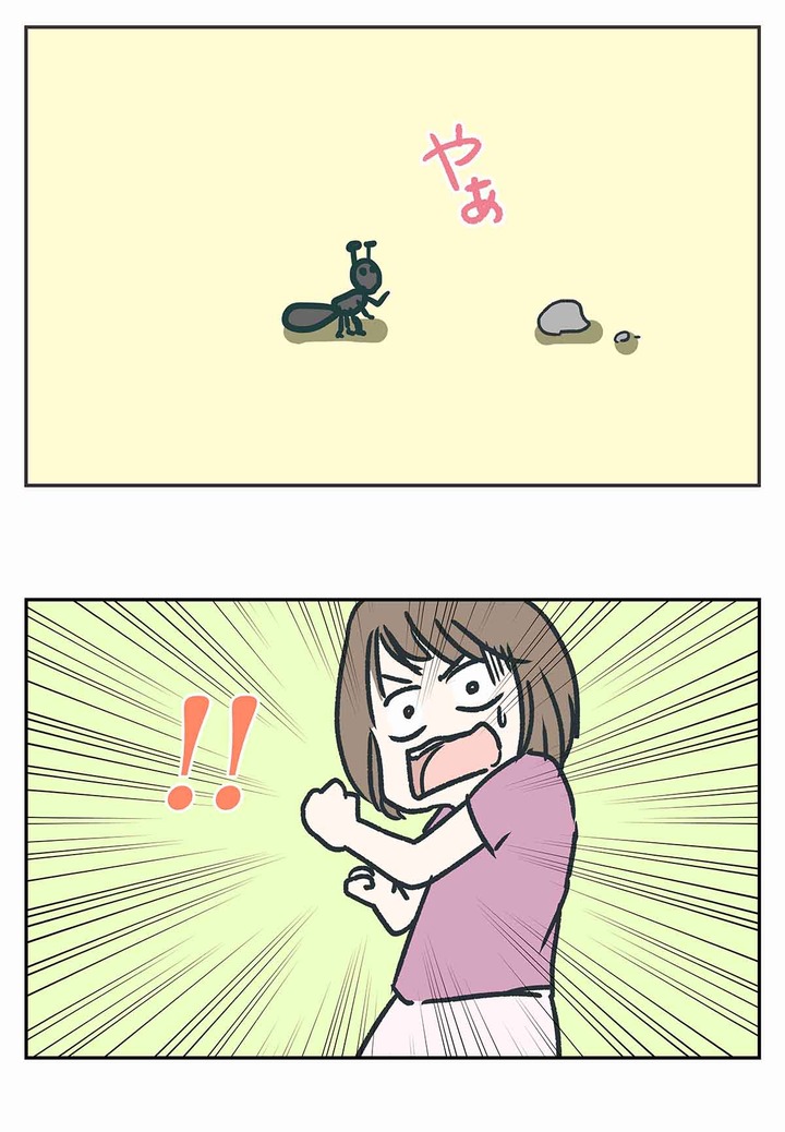 要注意！「ヒアリ騒動」が小学校にやって来た！！
