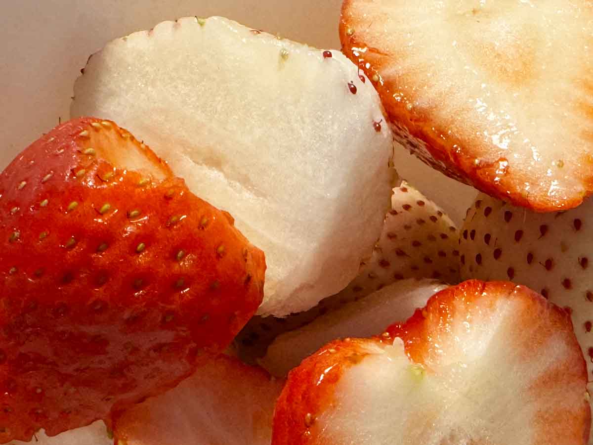 4F091E85-1B88-495B-89B6-20C78BC28B2D