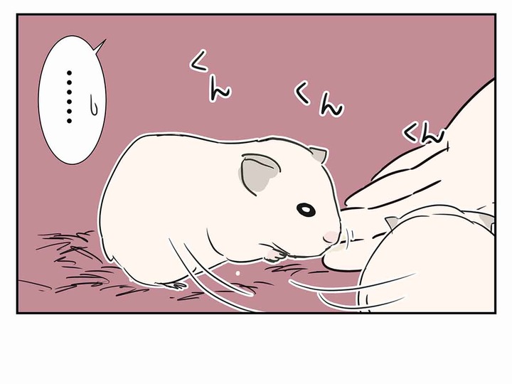 きんくまハムスターのきなことえむふじん