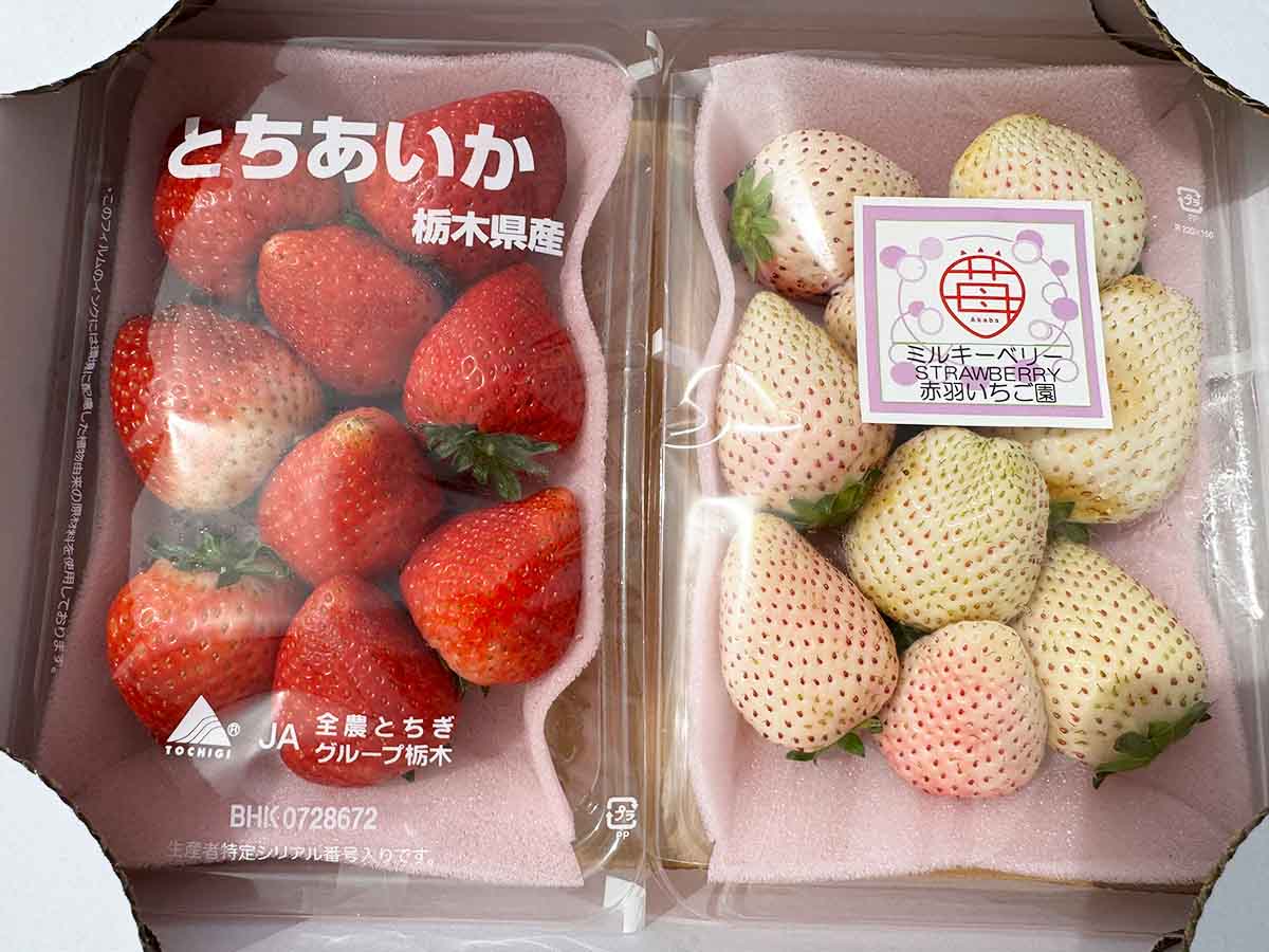 1109AEED-2057-48DF-A20A-7C2C255144A2