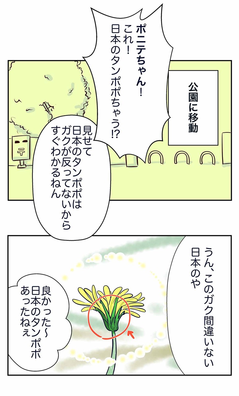 タンポポ団が侵略的外来種に挑戦する日 コミックエッセイ えむふじんがあらわれた Powered By ライブドアブログ タンポポ団が侵略的外来種に挑戦する日 コミックエッセイ えむふじんがあらわれた Powered By ライブドアブログ