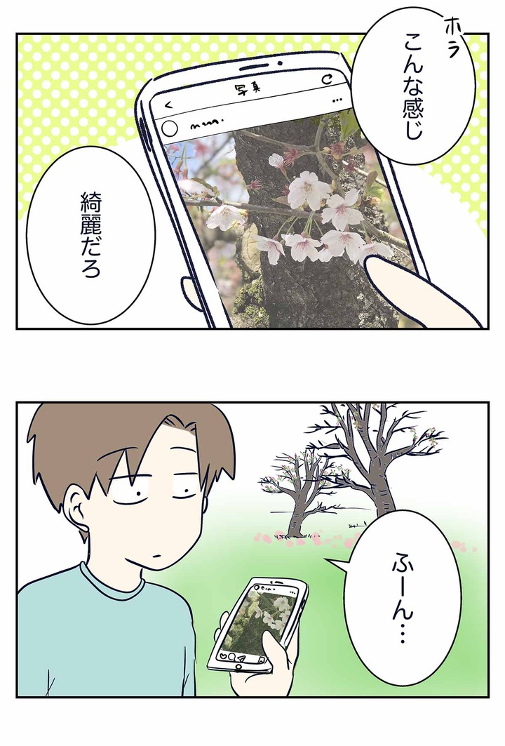 葉桜でお花見を楽しもうとした結果