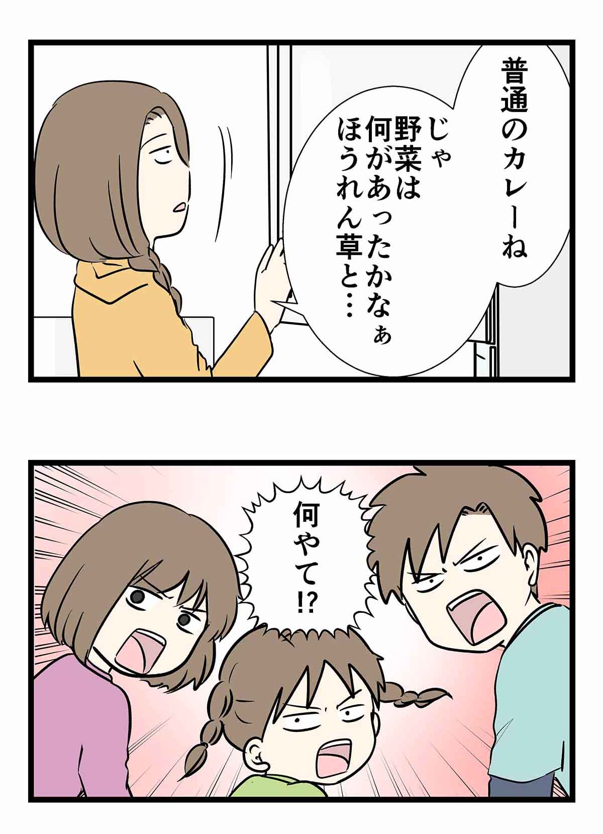 カレーは王道こそ至高であり最高。それ以外は許されない