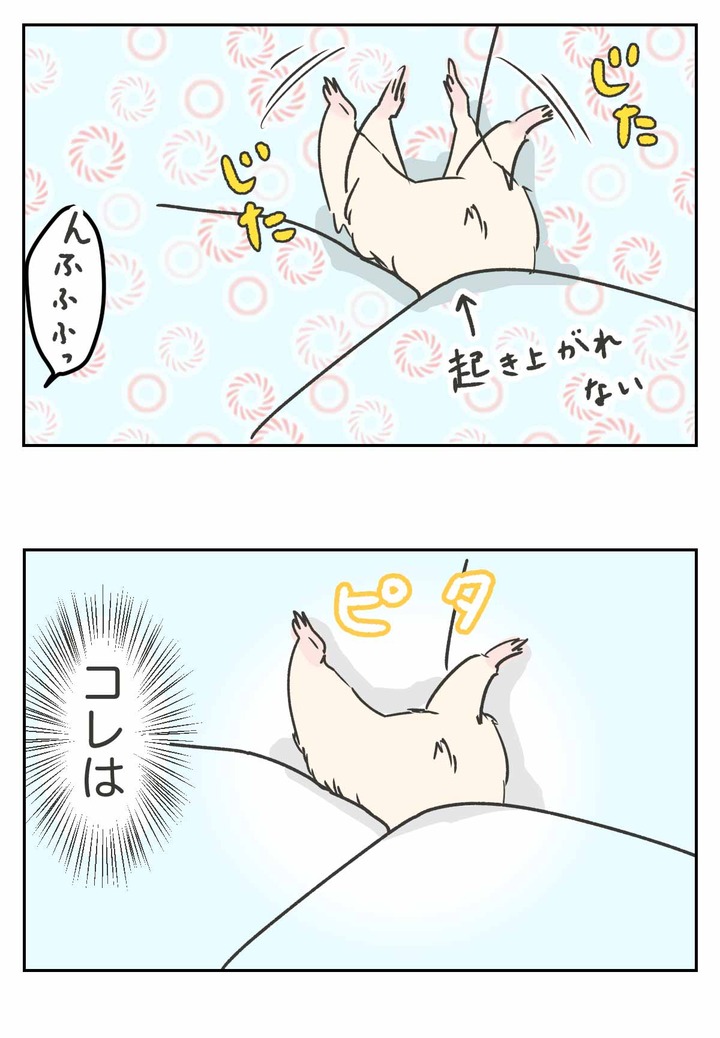 きんくまハムスターに懐かしい日本映画の面影を見た