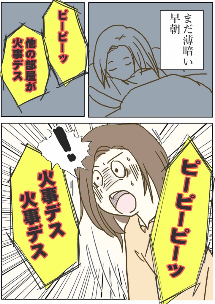 えむふじんの日常