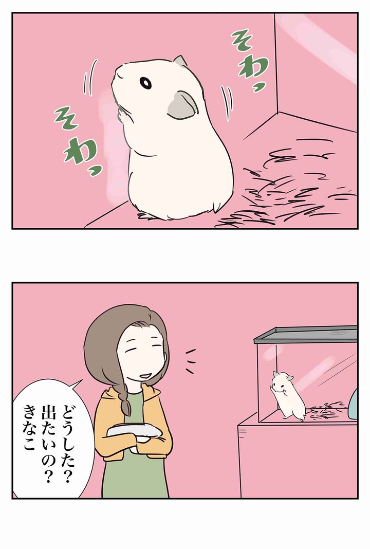 きんくまハムスターのきなことえむふじん