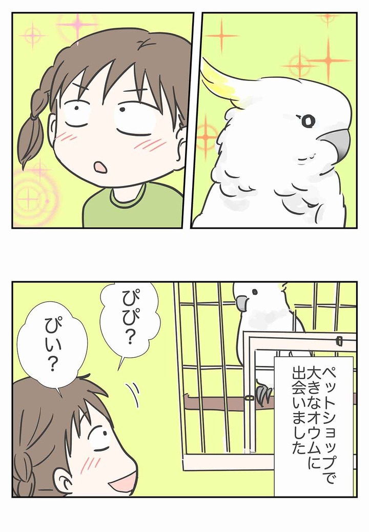 彼女がまだ駆け出しの鳥だった頃