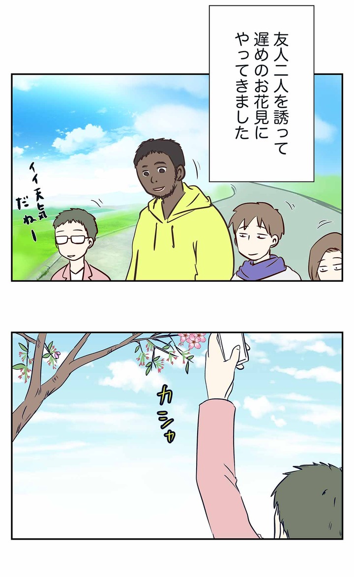 葉桜でお花見を楽しもうとした結果