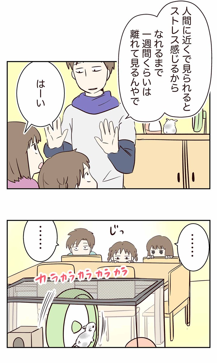 注目を浴びた、とっとこホル太郎の初日