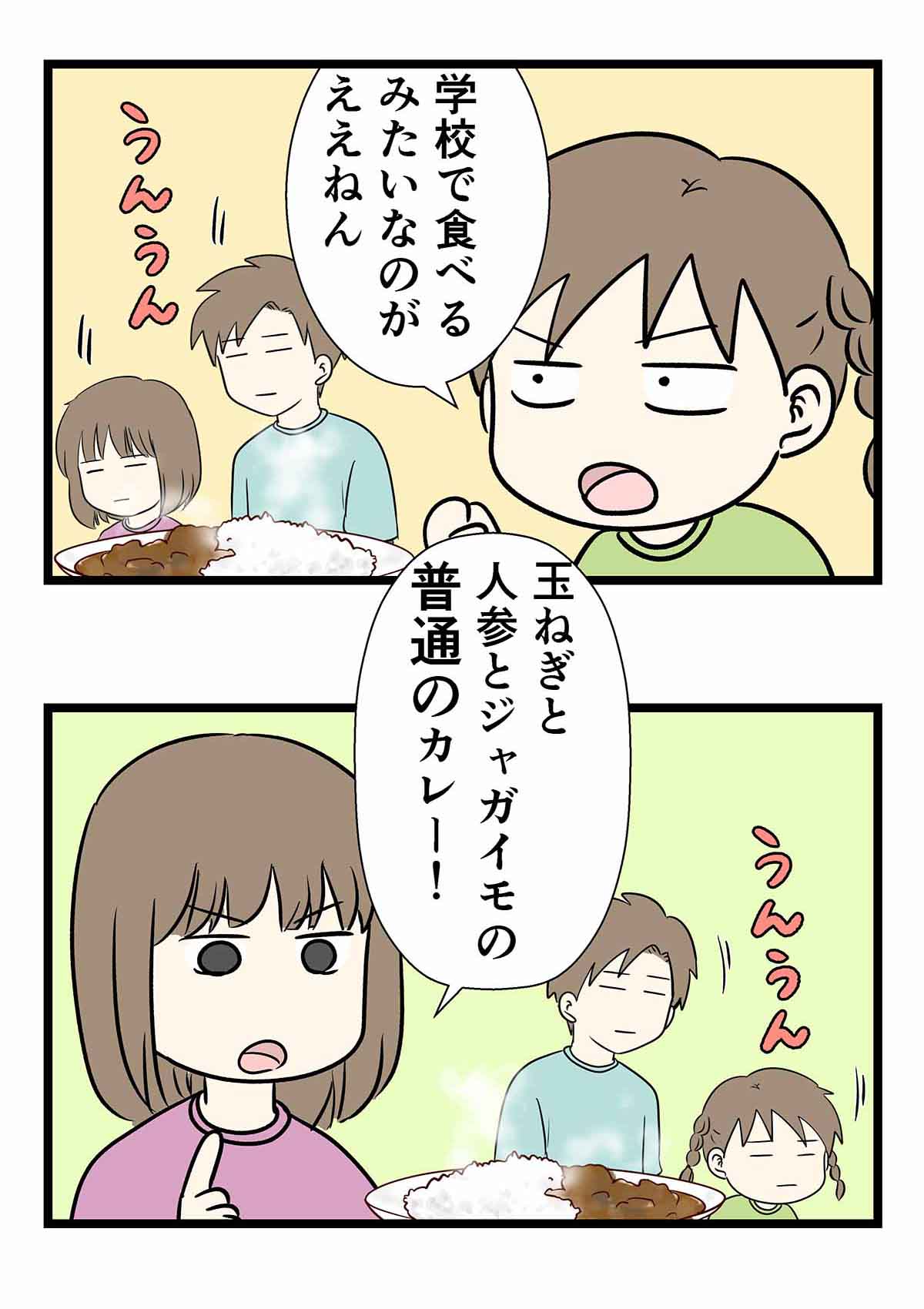 カレーは王道こそ至高であり最高。それ以外は許されない