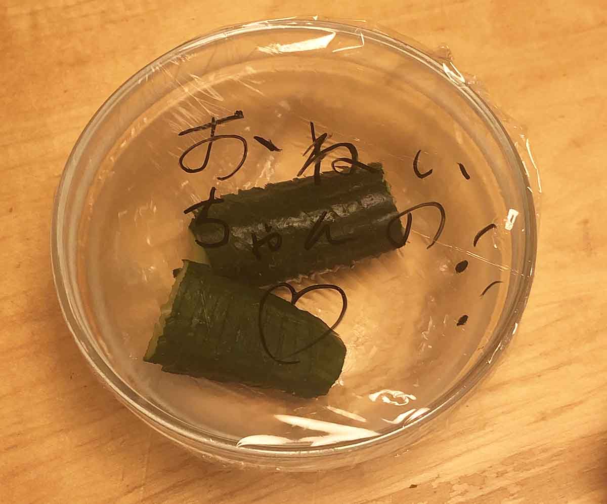 【BBK】ごますり娘の手料理ビヨンビヨンキュウリが食べられることになった喜び