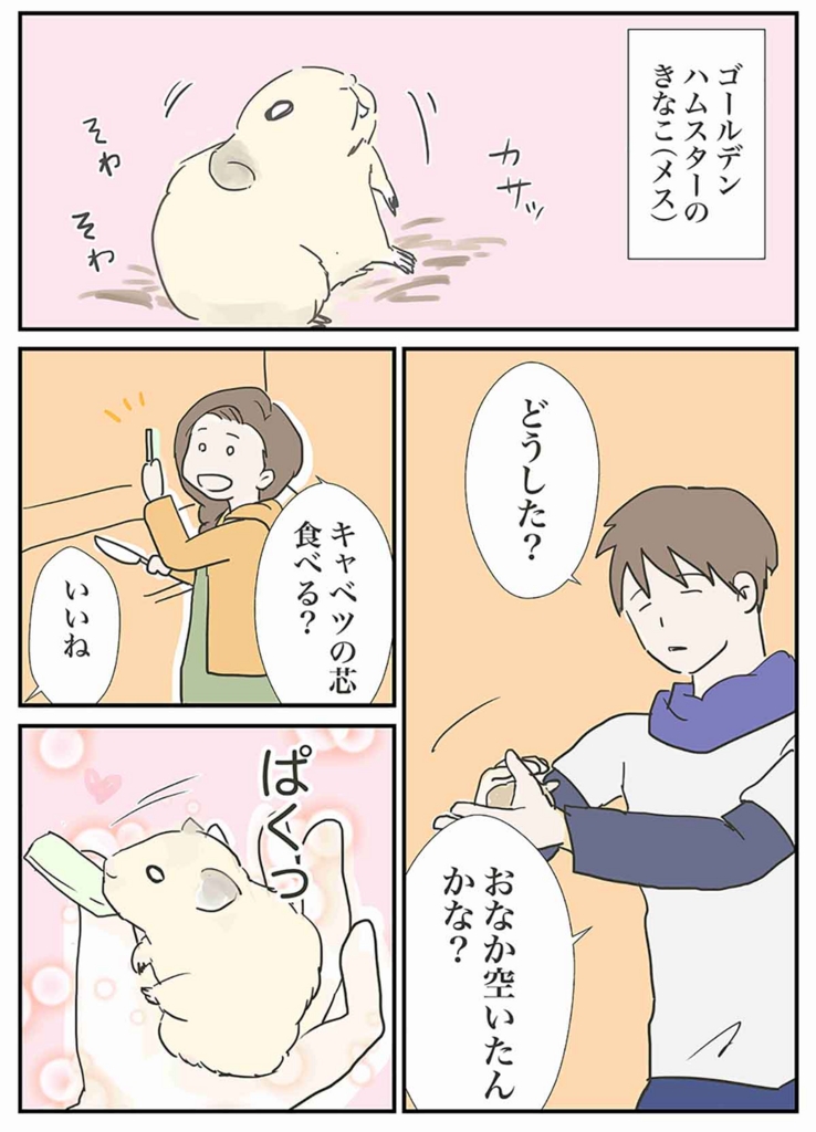 f:id:mshimfujin:20170222145858j:plain