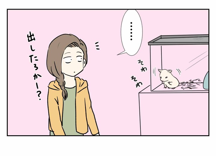 きんくまハムスターに懐かしい日本映画の面影を見た
