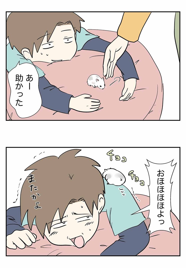 ハムスターと戯れる姿を見守る風景をご覧ください