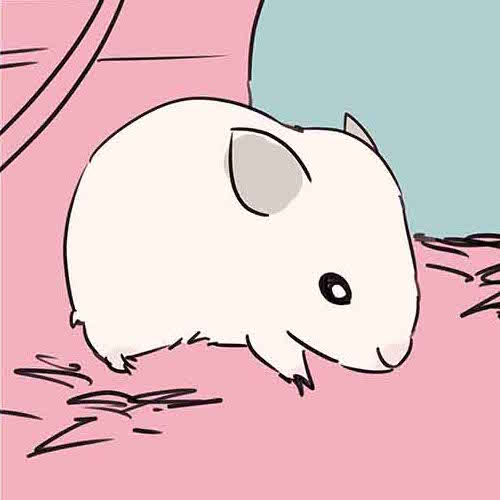 我が家の愛玩動物 きなこ