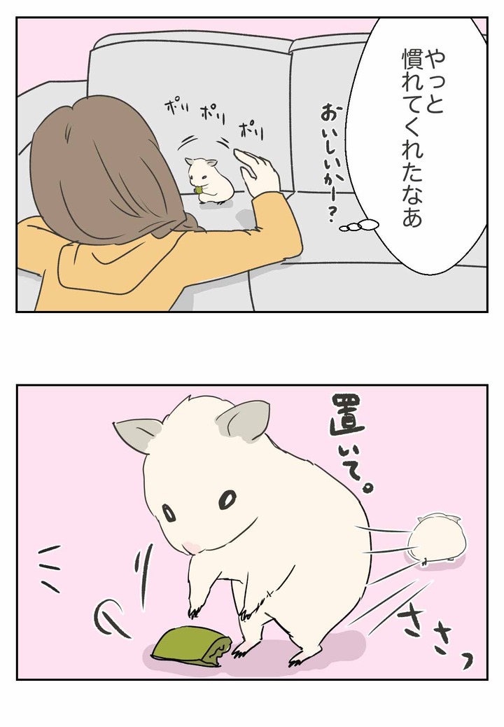 きんくまハムスターに懐かしい日本映画の面影を見た