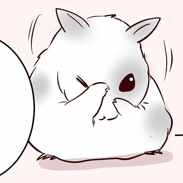 えむふじんの日常 ハムスターのホルさん