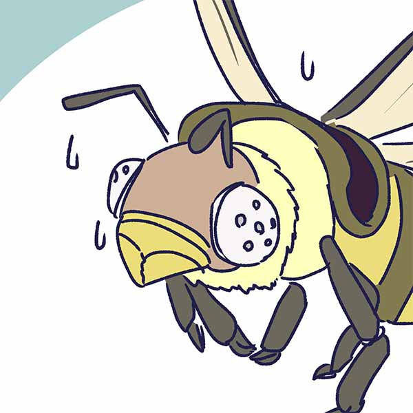 えむふじんの日常 ビーライダーのビー