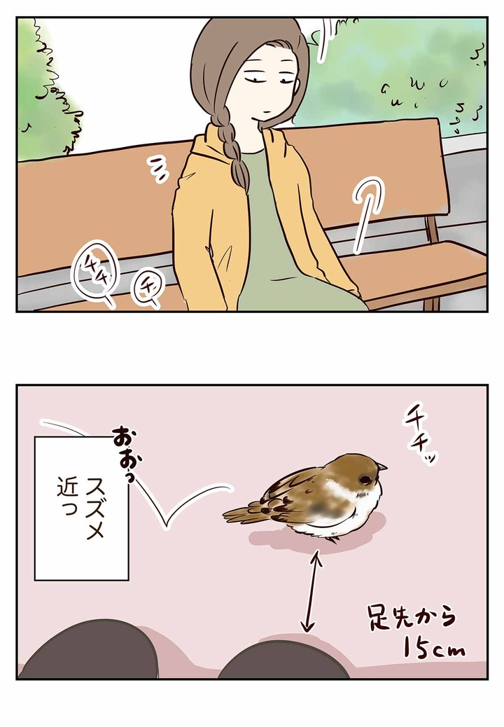 野生のスズメに見る、現代人にも通用するかも知れない処世術