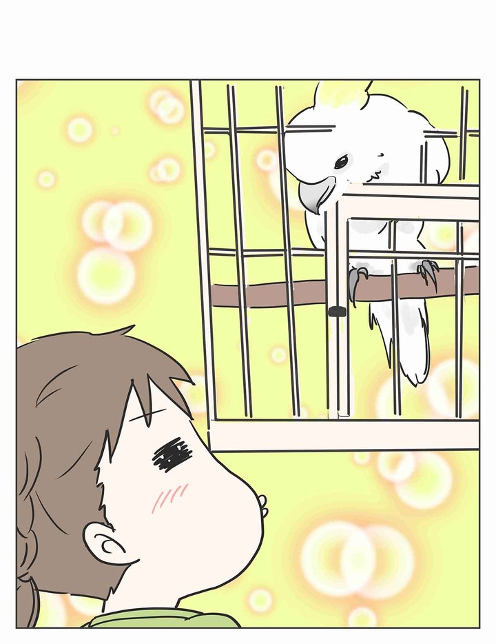 彼女がまだ駆け出しの鳥だった頃
