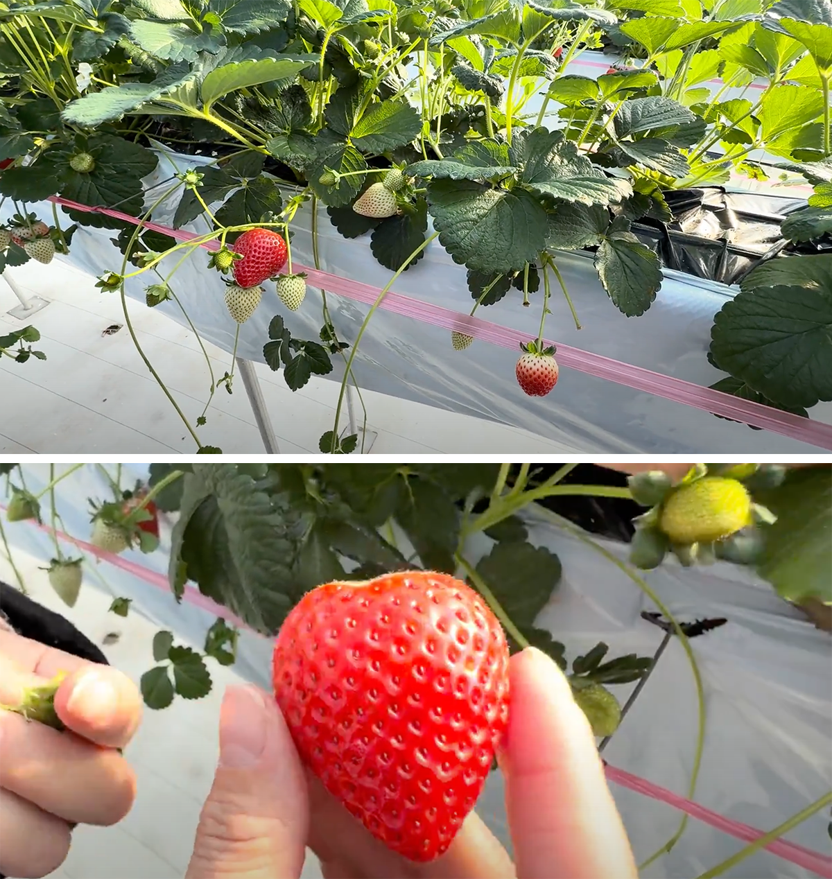 スクリーンショット 2025-02-06 3.10.53