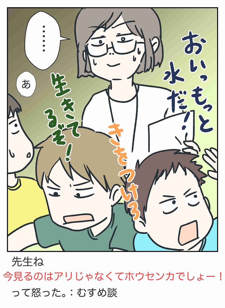 要注意！「ヒアリ騒動」が小学校にやって来た！！