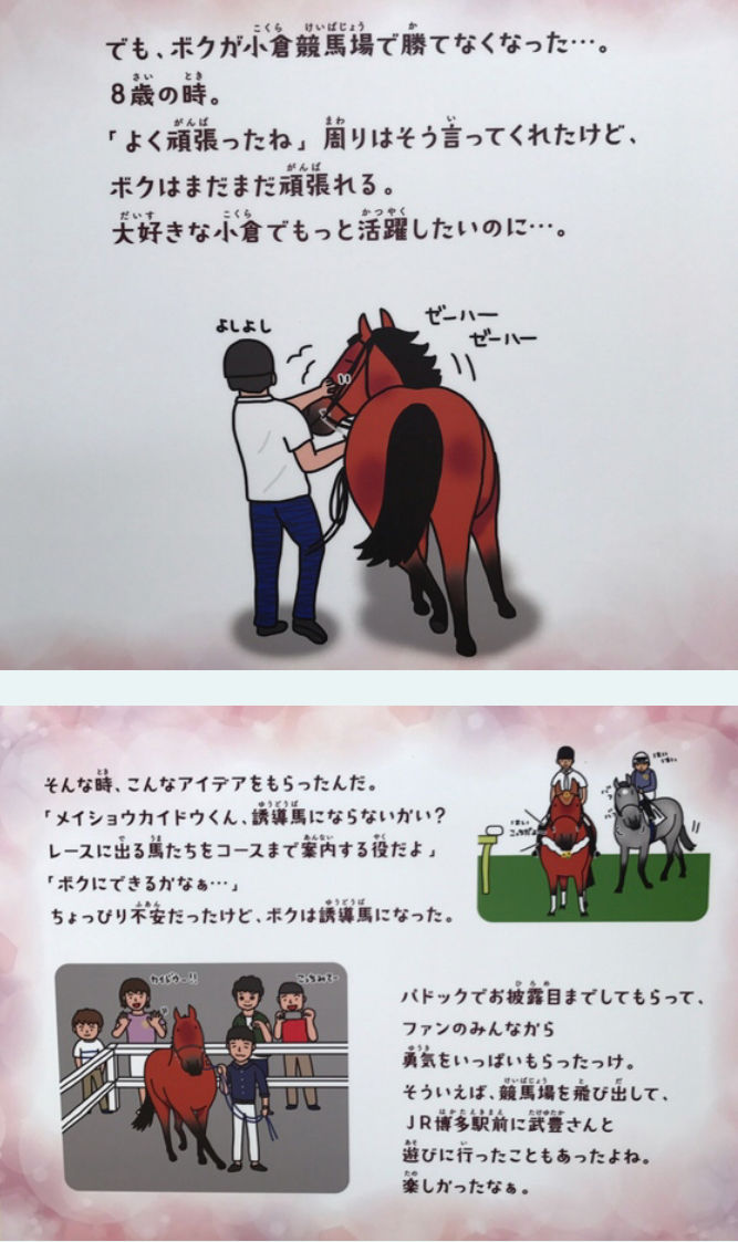 小倉競馬場限定 メイショウカイドウ4体セット