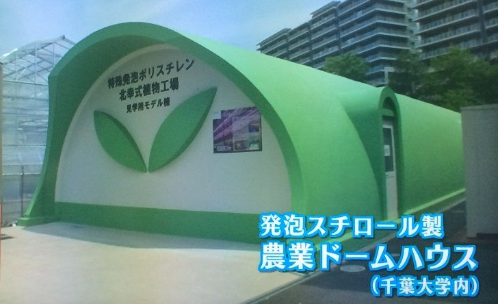 夫婦で楽しむ旅とグルメ＊備忘録＊ : 熊本地震で倒壊なし発砲 